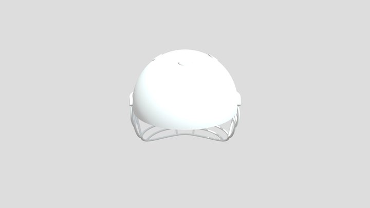 CRICKET HELMET 3D MODEL 3D Model
