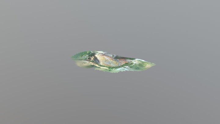 model 3D Model