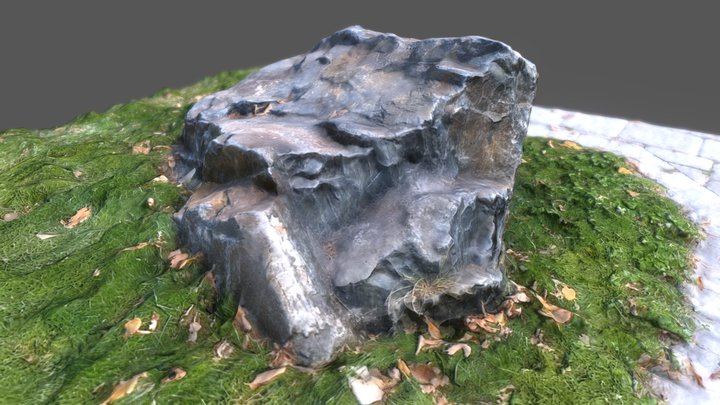 A Rock 3D Model