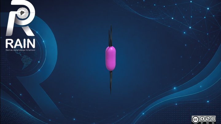 Protozoo flagelado – Free 3D Model STL