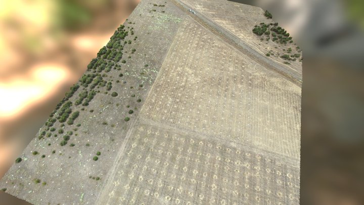 Parcela de Matallana (Valladolid) 3D Model