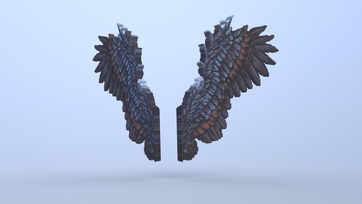 Crow Wings 3D Model