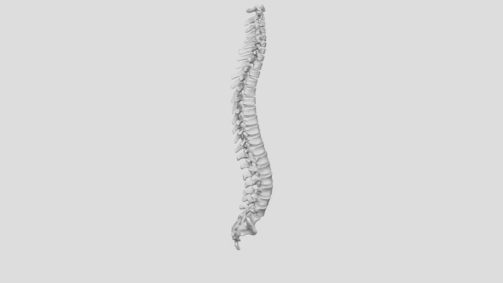 Vertabrae