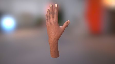 Hand Test 3D Model