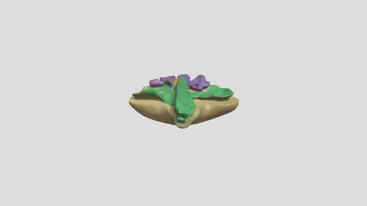 tulip – Modello 3D gratuito STL
