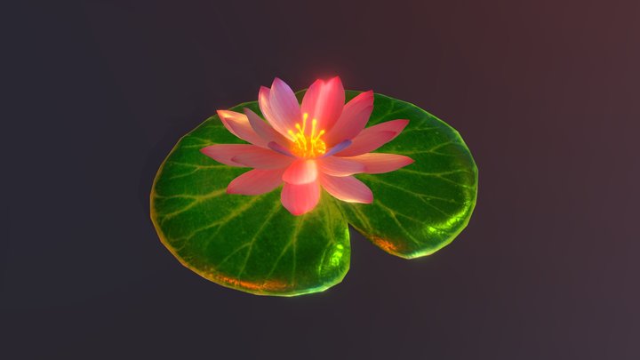 Lotus Animation 3D Model