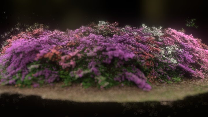 Azaleas, Isabella Plantation, Richmond Park – Modelo 3D gratuito STL