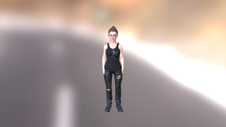 CC_Standard 3D Model