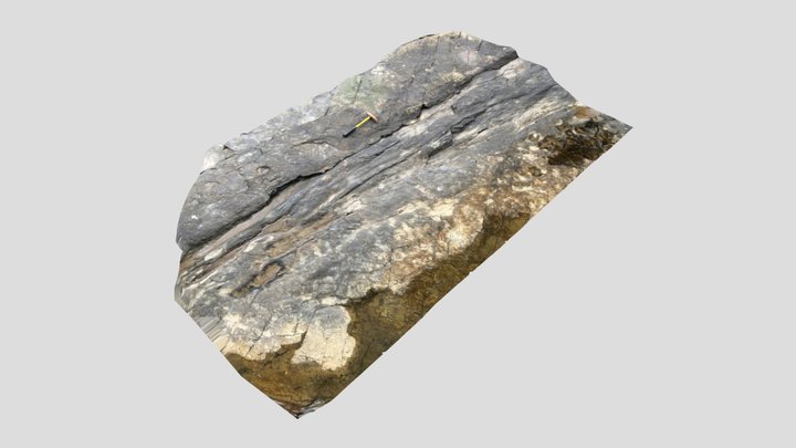 Fossil at Liscannor, Co. Clare, Ireland 3D Model
