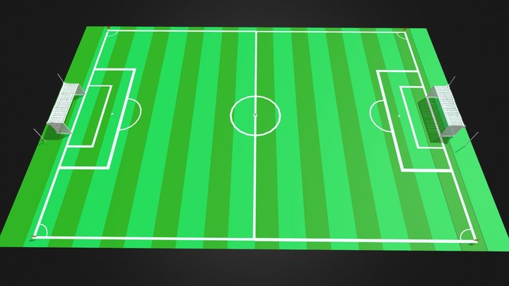 Professional Soccer Field