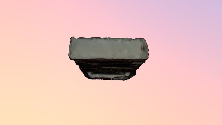 Scanning assignment 3D Model