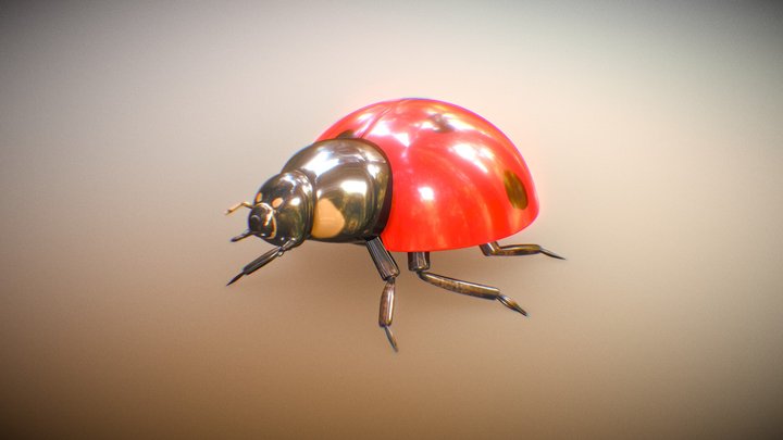Lady Bug (Rigged) 3D Model