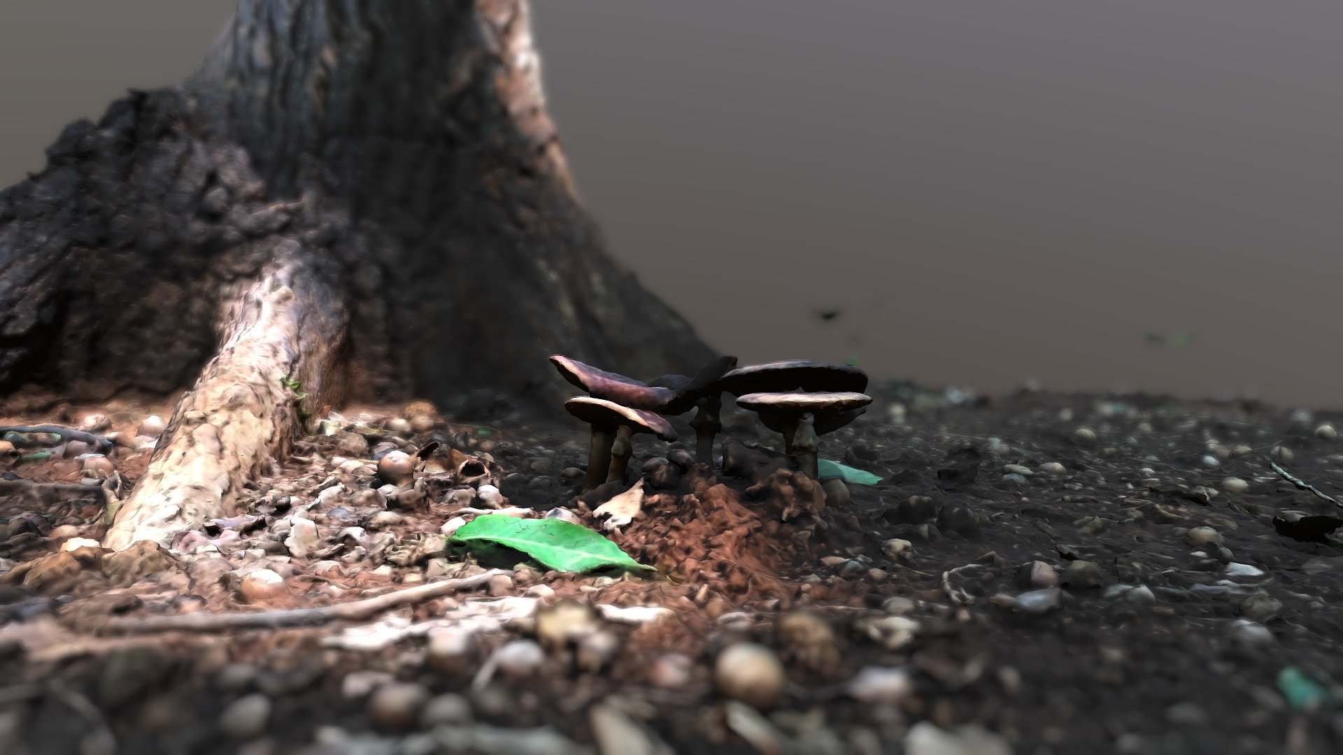 Forage_1_Low_Rez