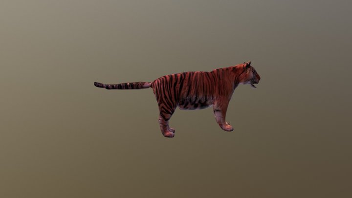 Tiger A Tpose 3D Model