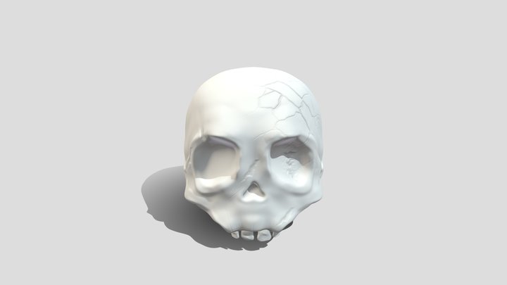 Skull / Candle / Cage 3D Model