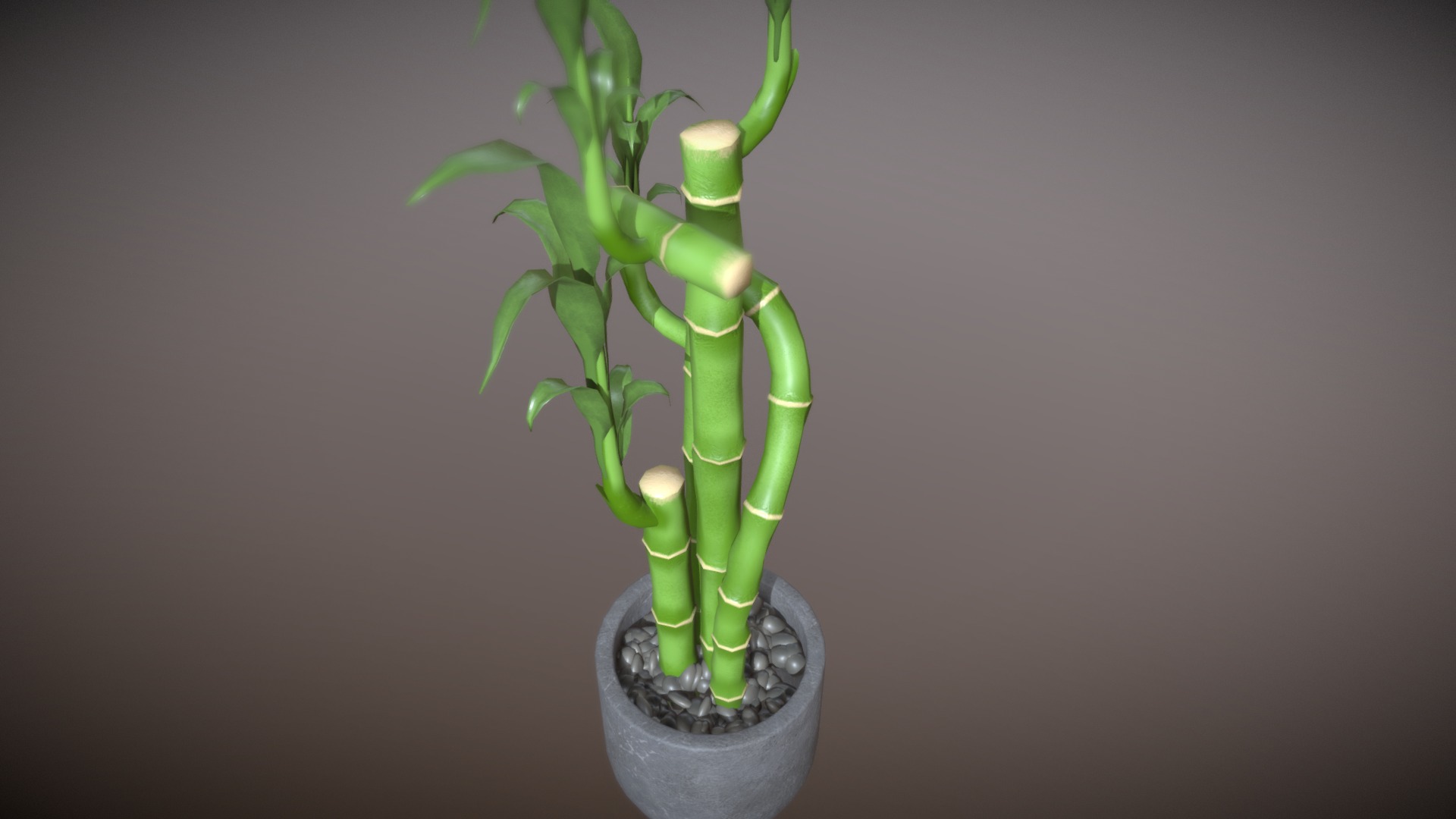 3D model Bamboo Plant - This is a 3D model of the Bamboo Plant. The 3D model is about a green plant in a pot.