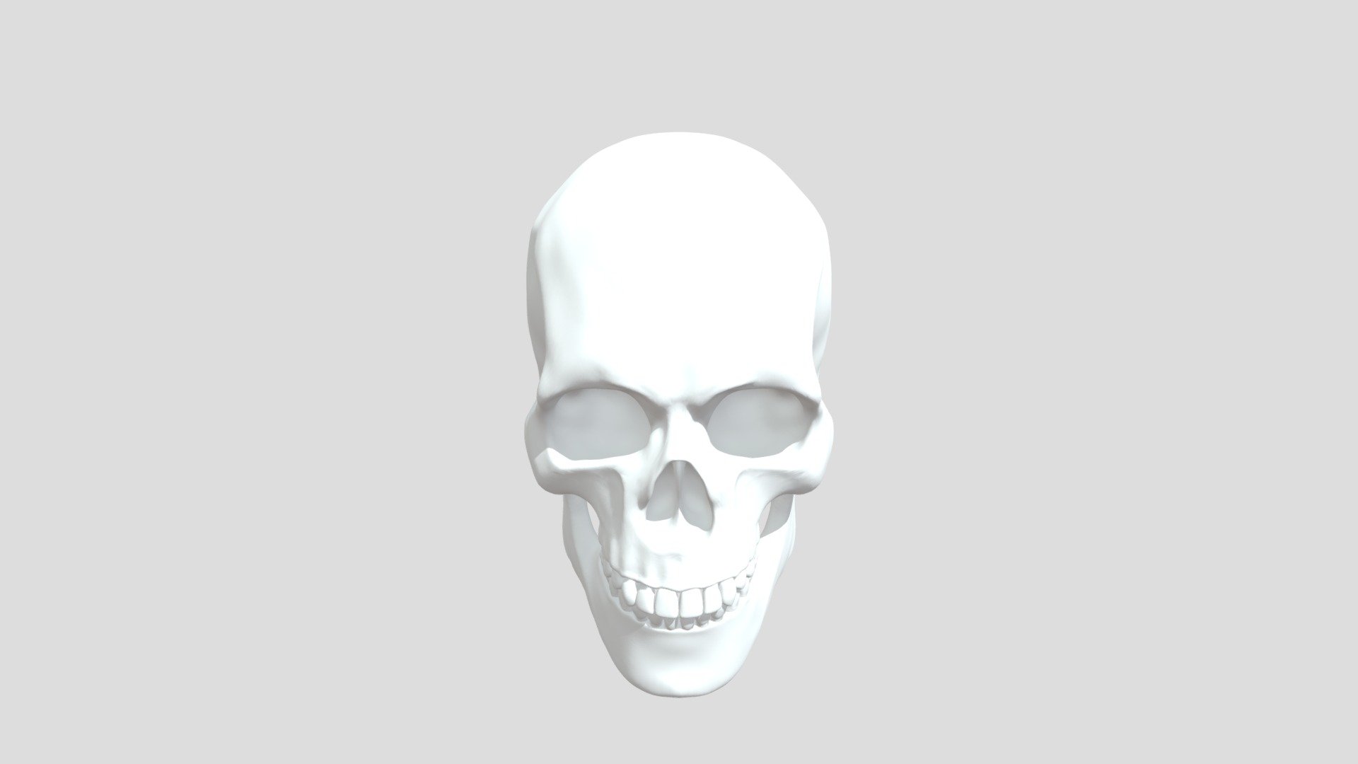 Anatomy Human Skull 2024 3D Model By Sketchfab2024   43df2a5ece264942a9956ce141871381 