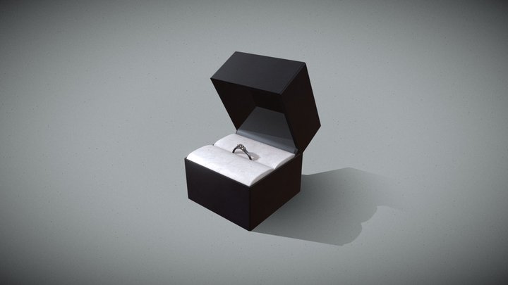 Ring 3D Model