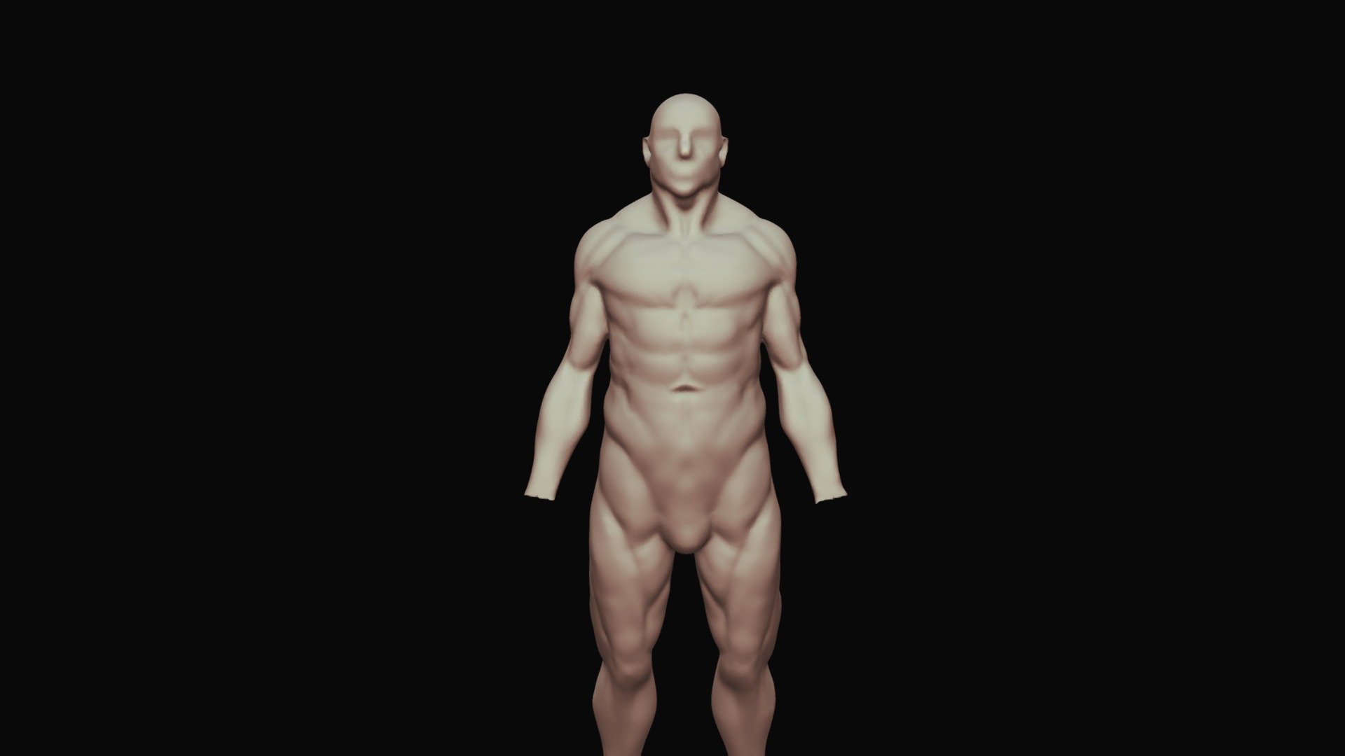 male base model