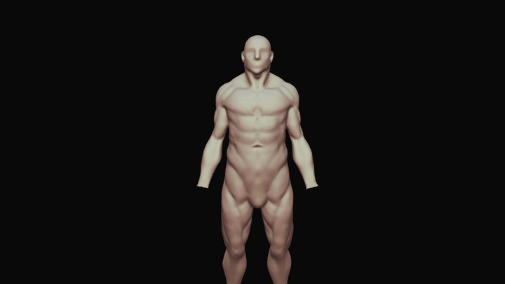 male base model 3D Model
