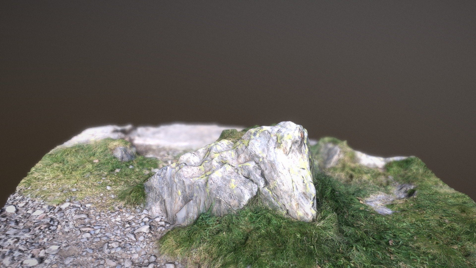 Photoscanned Rock
