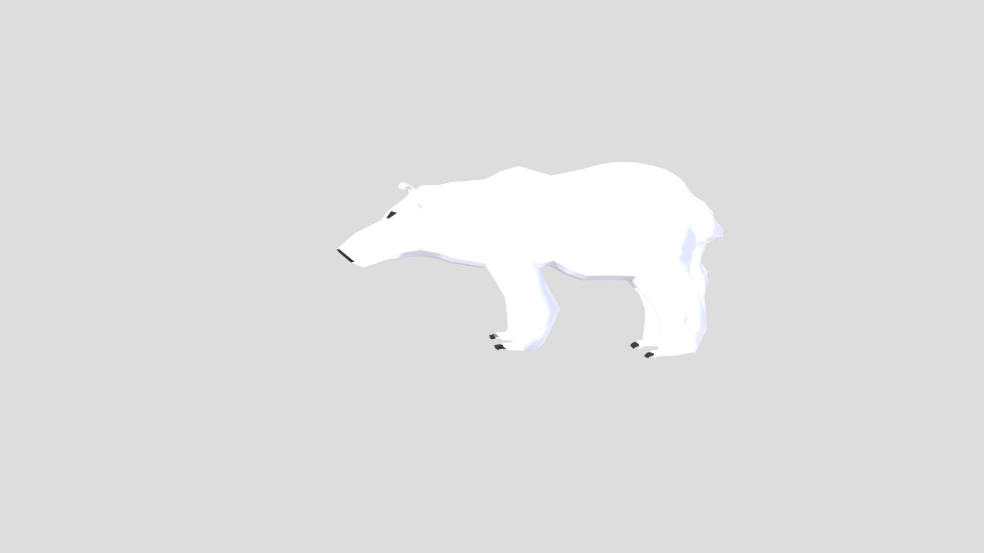 White Bear without fur