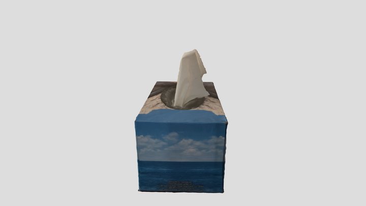 Tissues 3D Model