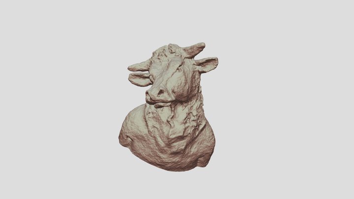 Buste vache carolina 3D Model