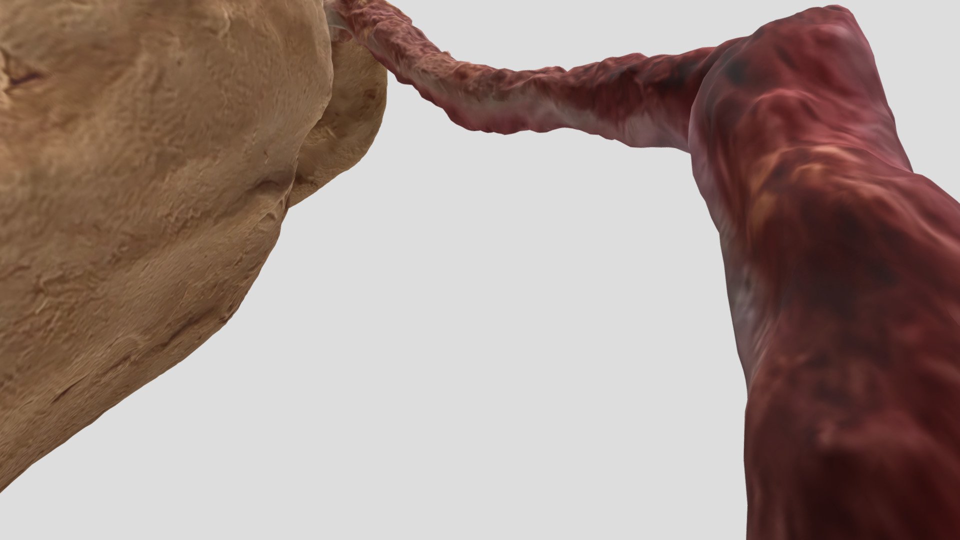 Aina+ — Sketchfab embed 3D viewer