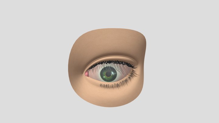 OJITO 3D Model