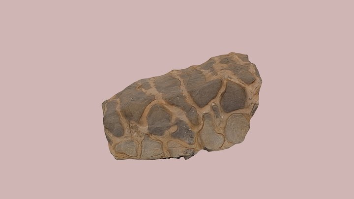 Stromatolite 3D Model