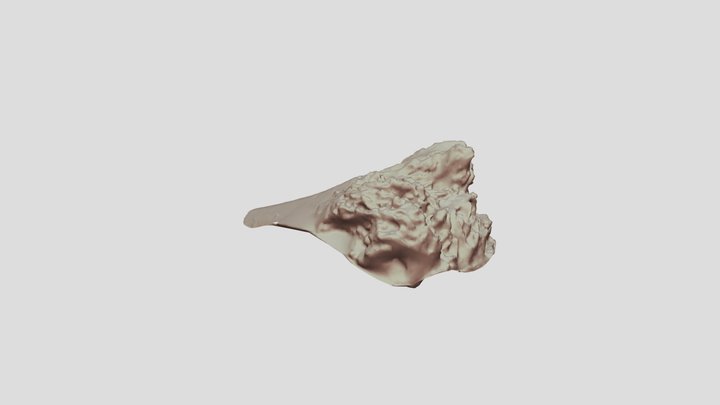 magiscan_2024-08-12_13-15 3D Model
