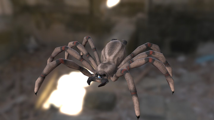 Sarah the Spider 3D Model