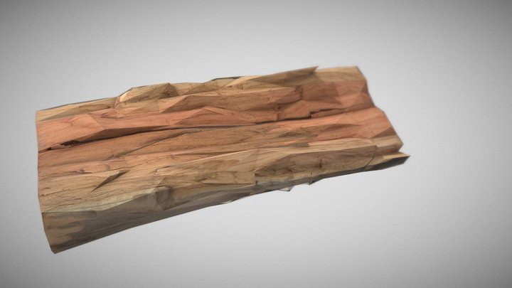 A Log 3D Model