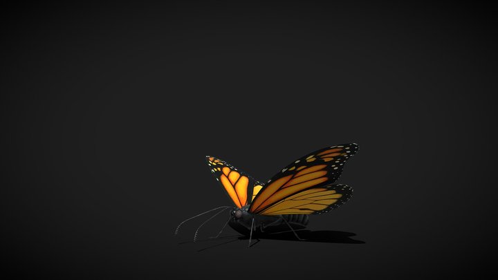 Fluttering Butterfly 3D Model