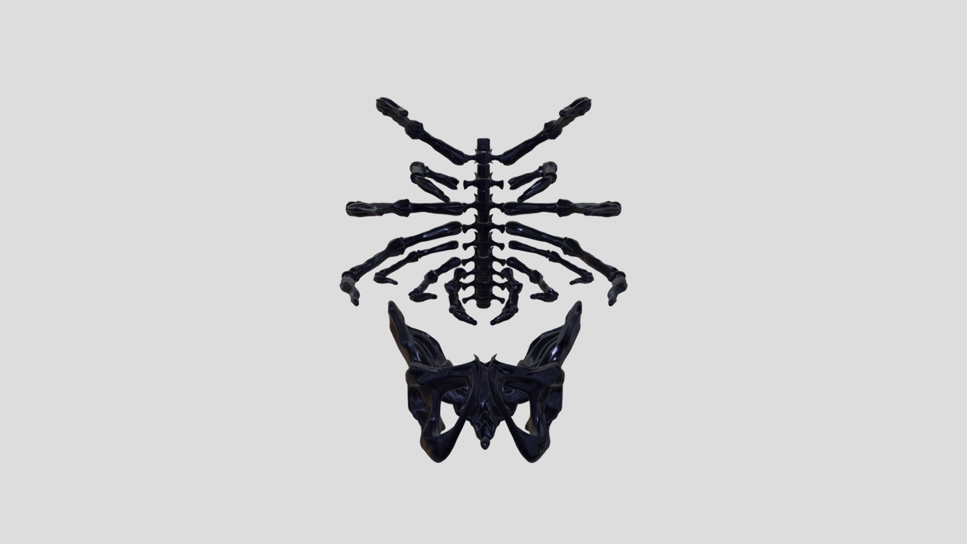 Pelvis