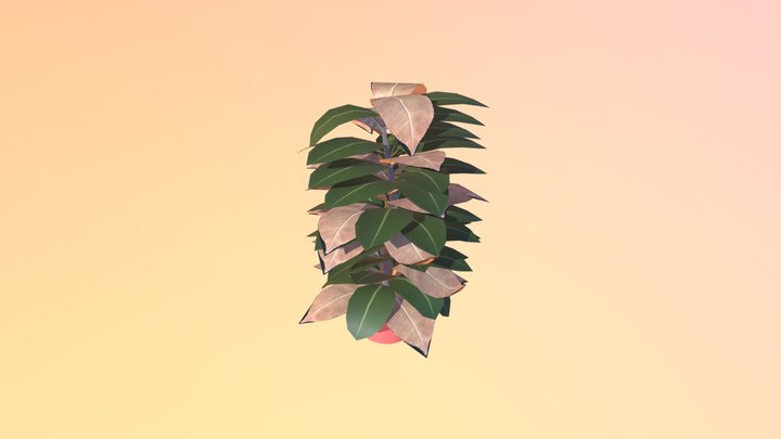 Wk9-plant 3D Model