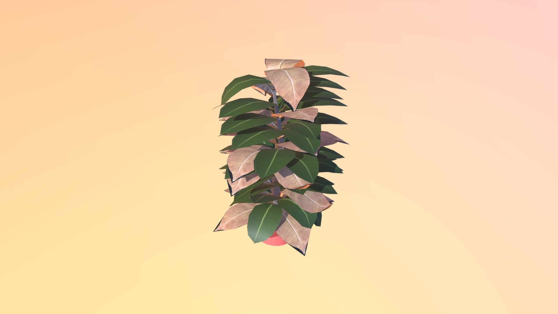 Wk9-plant