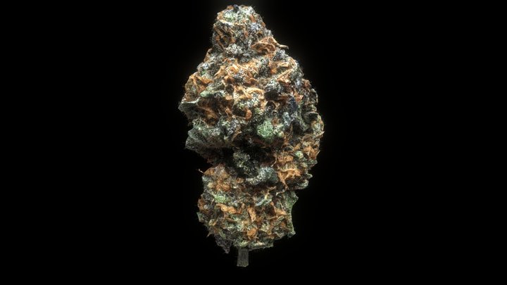 Blockchain Buzz Nug 3D Model