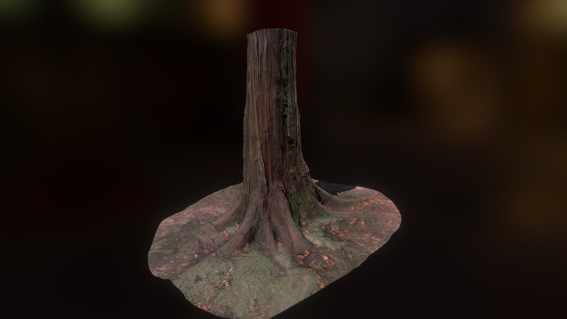 3D model Japanese Redwood - This is a 3D model of the Japanese Redwood. The 3D model is about a rock with a dark background.