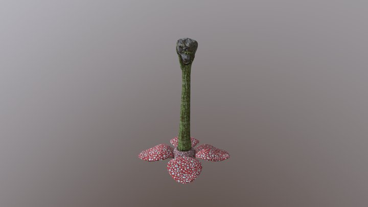 Titan Lily 3D Model