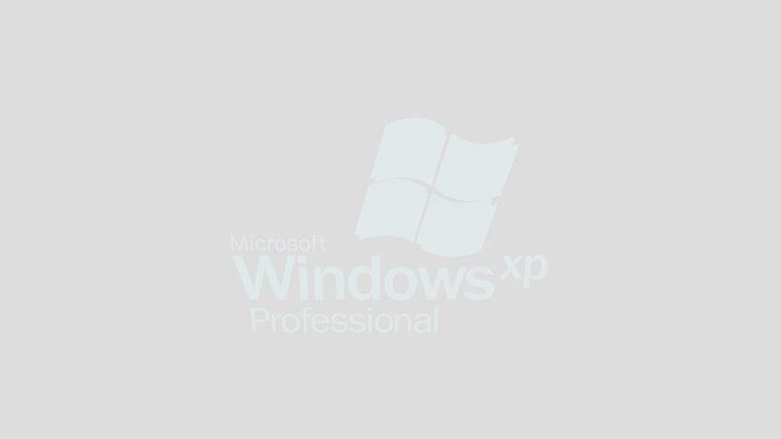 Windows XP Logo Startup 3D Model