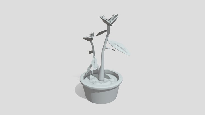 Venus Fly Trap 3D Model