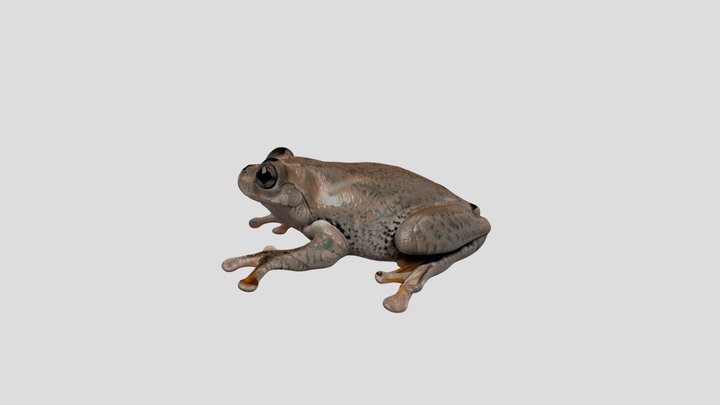 perons tree frog v2
