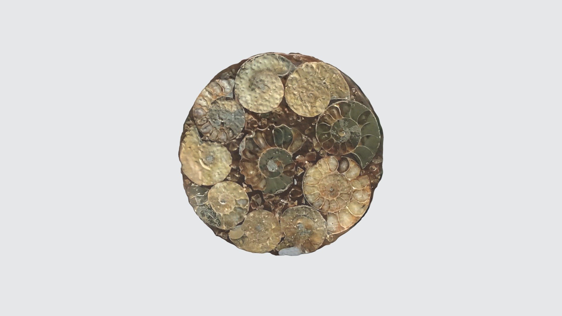 [EinScan H2] Spiral Plate — Sketchfab embed 3D viewer