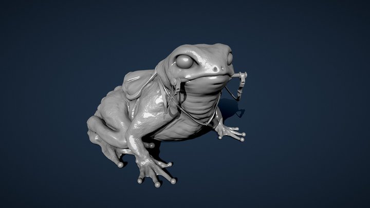 Frog Mount 3D Model