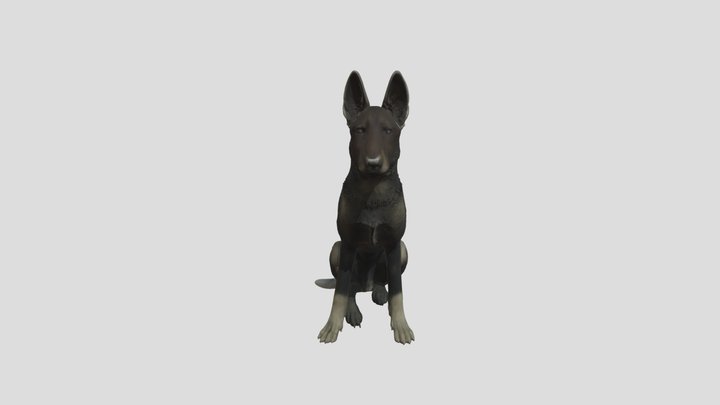 pet