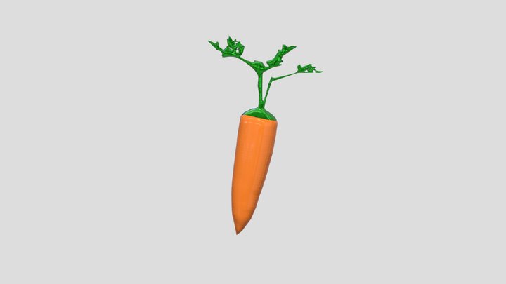 The Carrot 3D Model