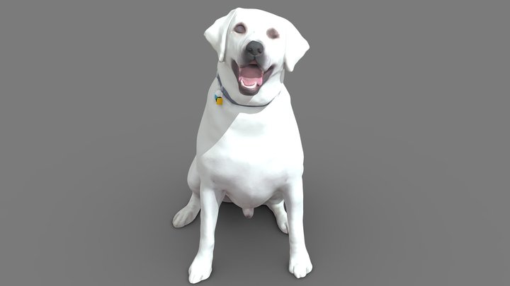 3D scanning to print in any method (Dog)
