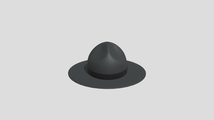 (PSP) Campaign Hat 3D Model